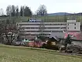 Dřevotvar