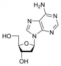 Struktura deoxyadenosinu