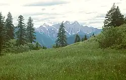 Passo Cibiana