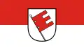 Zemský okres Tübingen – vlajka
