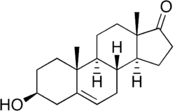 Struktura dehydroepiandrosteronu