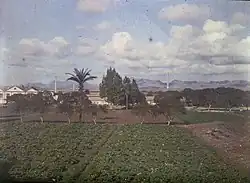 1908