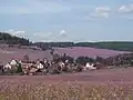 Pohled na obec
