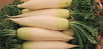 alternativní popis obrázku chybí