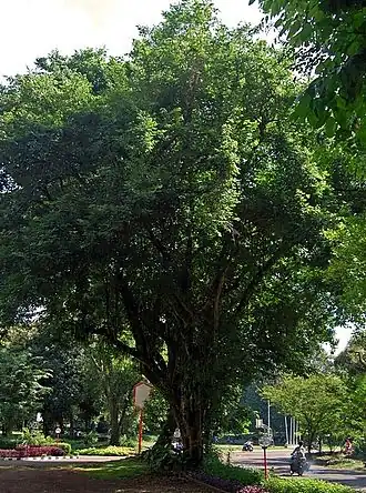 alternativní popis obrázku chybí