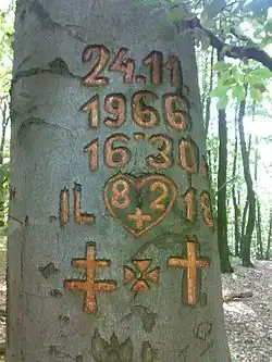Detail nápisu vyřezaného na památku 82 obětí tragédie z roku 1966