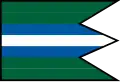 Davidov – vlajka