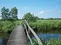 Alde Feanen Národní park