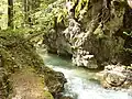 Dedošová dolina - ústie