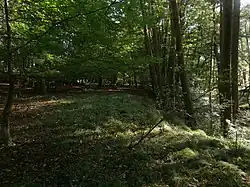 DehtarskePeceLuzna.JPG
