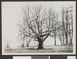 12. dubna 1927