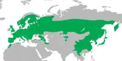 Areál rozšíření