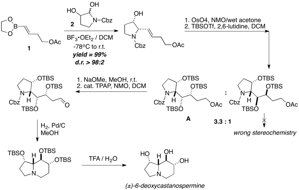 Příprava deoxykastanosperminu