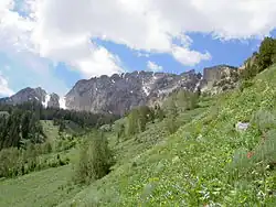 Vrchol Deseret Peak