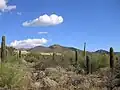 Arizona-Sonora Desert Museum