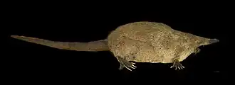 alternativní popis obrázku chybí