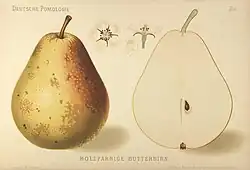Hájenka