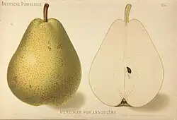 Angoulémská