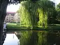 Diakonie Myslibořice