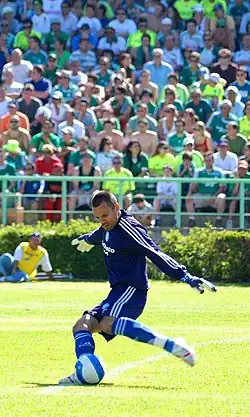 Diego Cavalieri (2007)