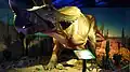 DinoPark Liberec, Triceratops