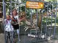 DinoPark Plzeň, Dětské atrakce