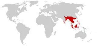 Oblast výskytu kobry královské