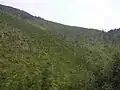 Rozsáhlé holiny v Dlouhém dole
