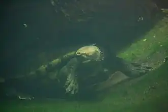 alternativní popis obrázku chybí