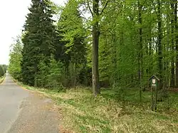 Majetek Colloredo-Mannsfeldů; přírodní rezervace Hradec