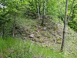 Dobřany (v Orlických horách) - pozůstatky hradu západně od vsi (3).jpg