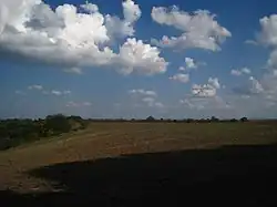 Dobřichov - pohřebiště Třebická (2) - celkový pohled na lokalitu.JPG