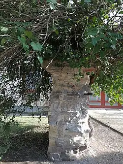 Na severním okraji pozemku byla monumentální vstupní brána do dvora, dochovaný pilíř z původní dvojice pilířů byl zakončený renesanční profilací, je jediný svědek staré tvrze