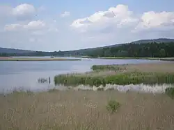 Dolejší Padrťský rybník