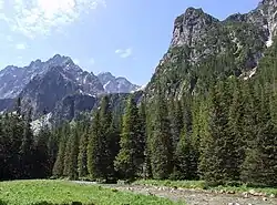 Bielovodská dolina