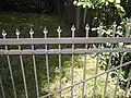 Nápis na plotě