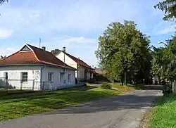 Mančice