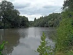 Dolecký rybník