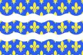 Seine-et-Marne (77) – vlajka