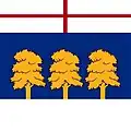 Giurgiulești – vlajka