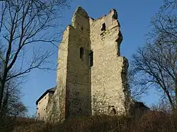 Torzo věže