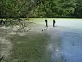 Trosky dřevěného požeráku