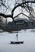 Rybník v obci