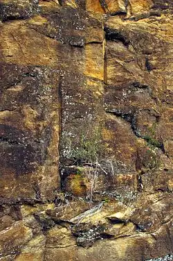 Detail "půj-jamek"