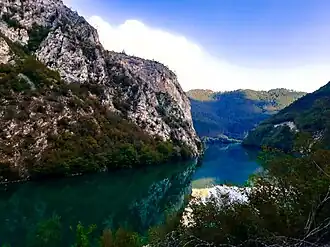 Drina