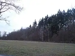 Dřínová v zimě