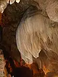 „Sloní uši“