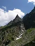 Žabí mnich z cesty na Rysy