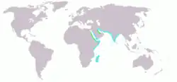 Mapa rozšíření