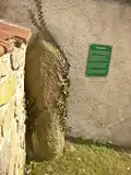 Zkamenělec